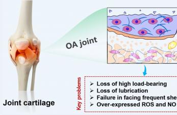 Biomaterials for tissue repairing